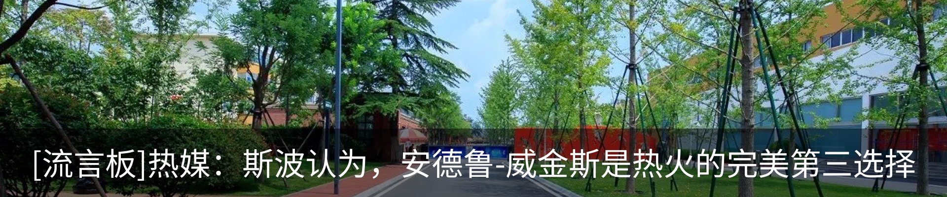 新闻动态